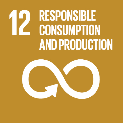 responsible-consumption-e-production