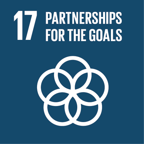 Partnerships to achieve the Goal