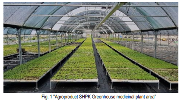 Sustainable Cultivation, Collection, and Processing of Medicinal and Aromatic Plants in Kosovo