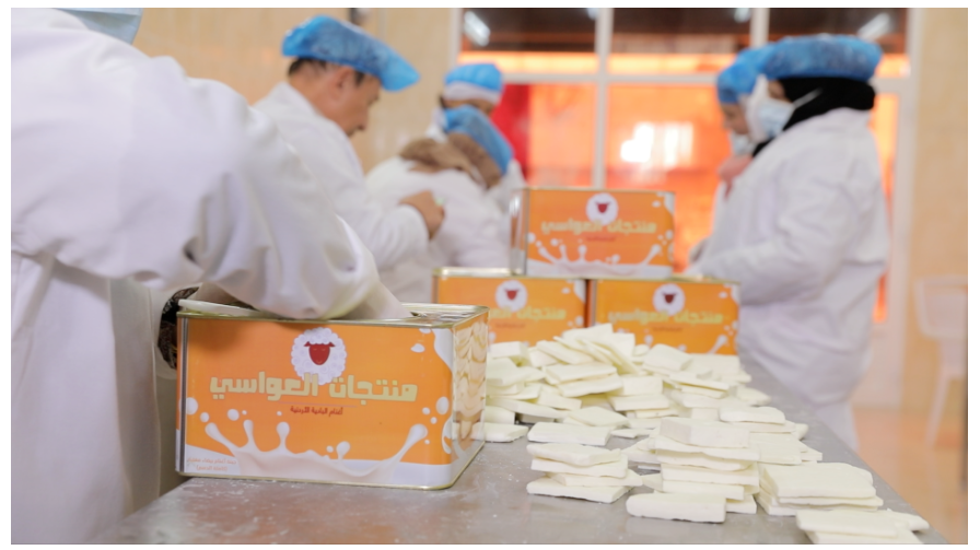 Innovating dairy production in Badia regions: a game changer for the community livelihood