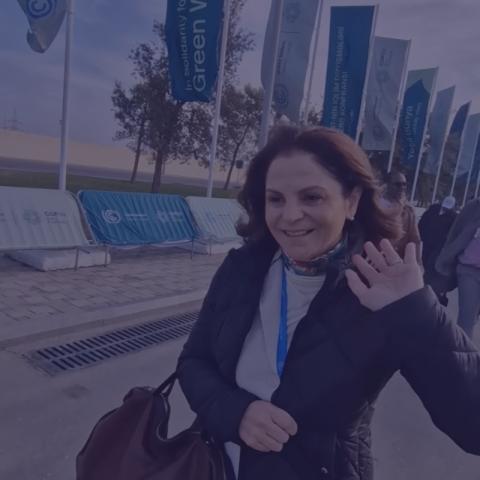  Inside COP 29: Climate Future In Focus 