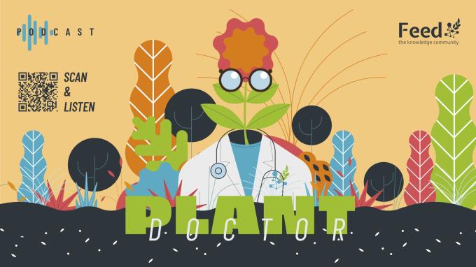 Xylella: The Day the Olive Trees Died (Part 2)