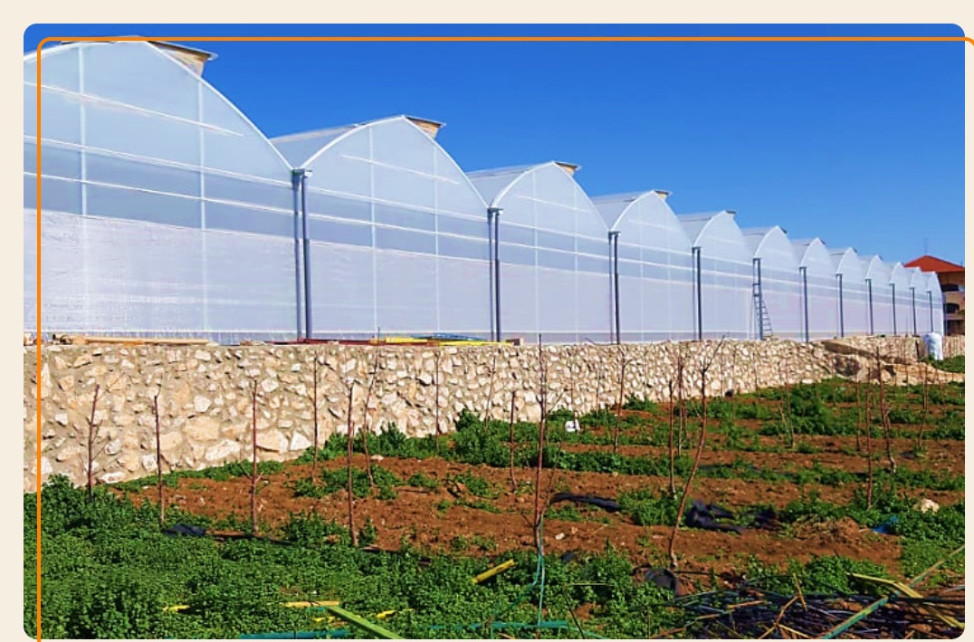 Jordan Hydroponic Agriculture and Employment Development (HAED-Jo)