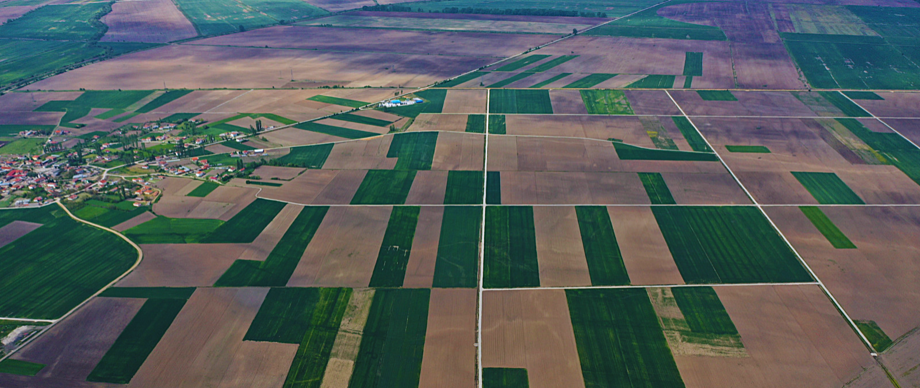 Introduction of the National Program for Land Consolidation