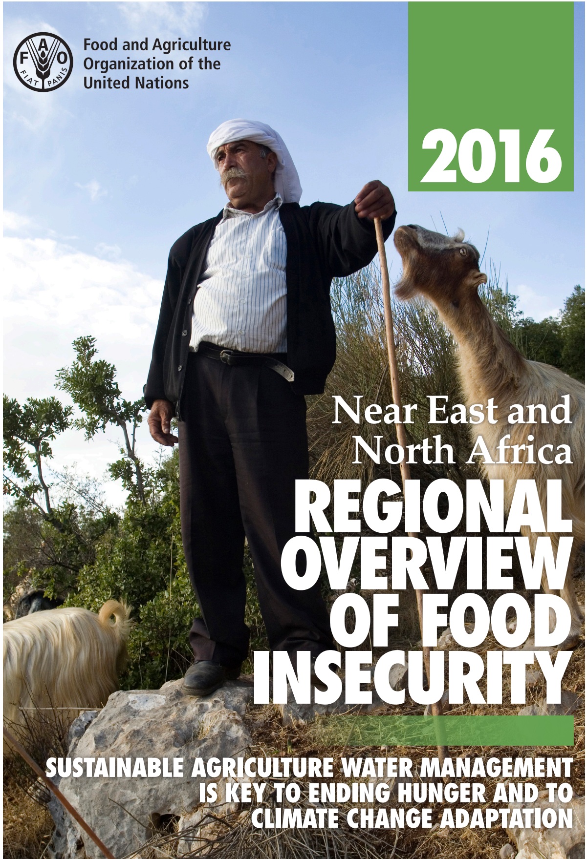 Near east and North Africa regional overview of food insecurity 2016: Sustainable agriculture water management is key to ending hunger and to climate change adaptation