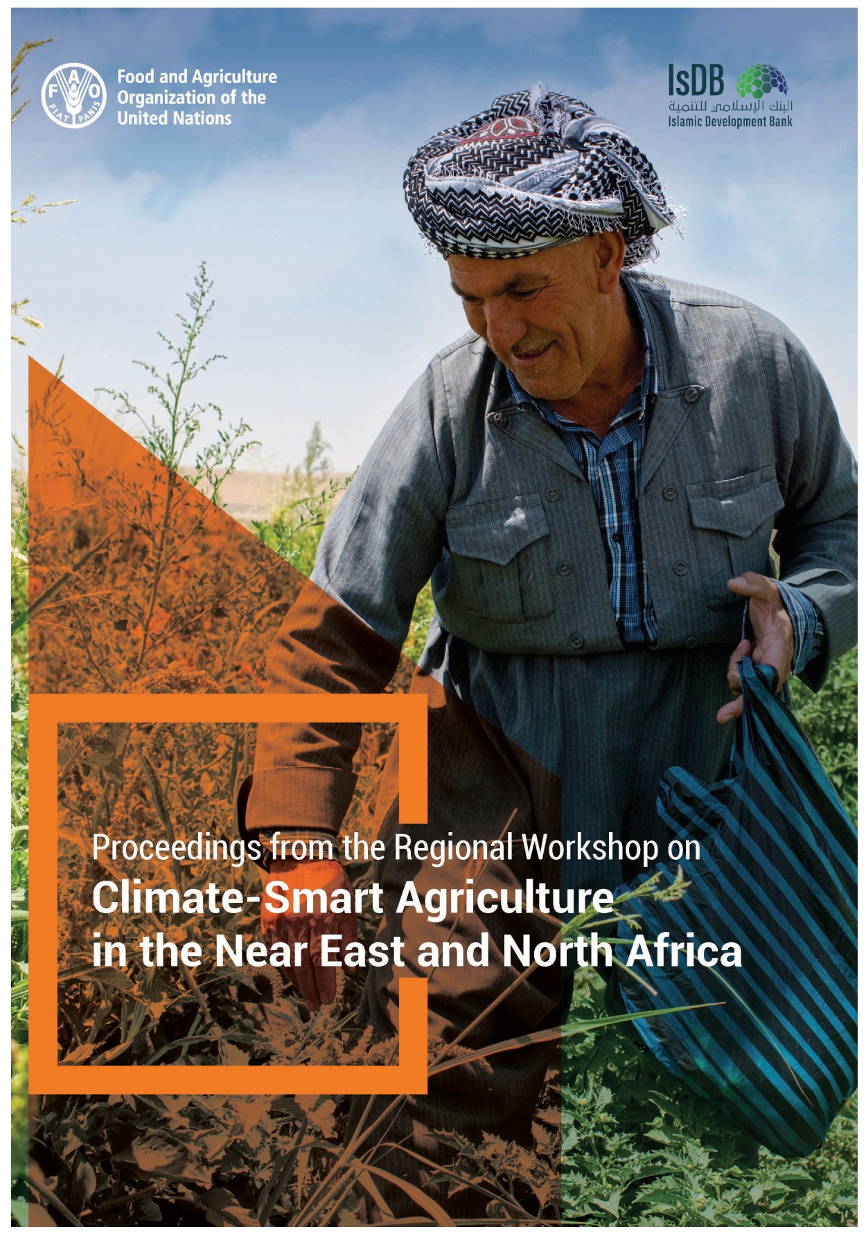 Proceedings of the regional workshop on climate-smart agriculture in the Near East and North Africa