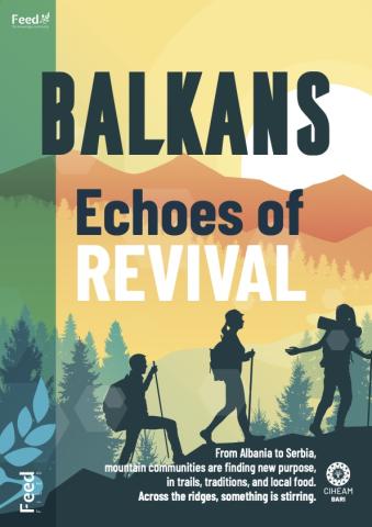 <p>FEED FILES N.2<br>Balkans: Echoes <br>of Revival</p>