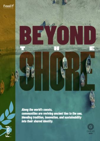 Beyond the Shore